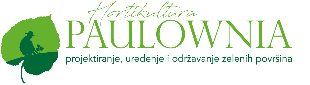 Hortikultura Paulownia